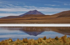 Laguna Cañapa